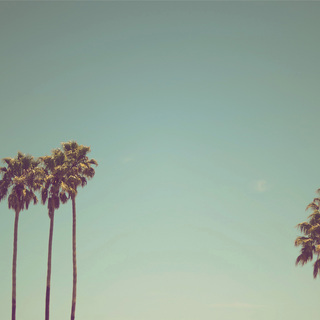 Reply hazy. Ask again.