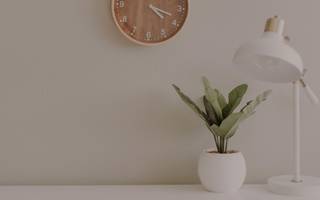 small plant in a planter with a white table lamp