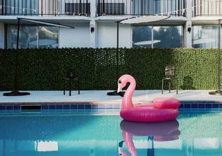 pink flamingo floatie in a hotel pool